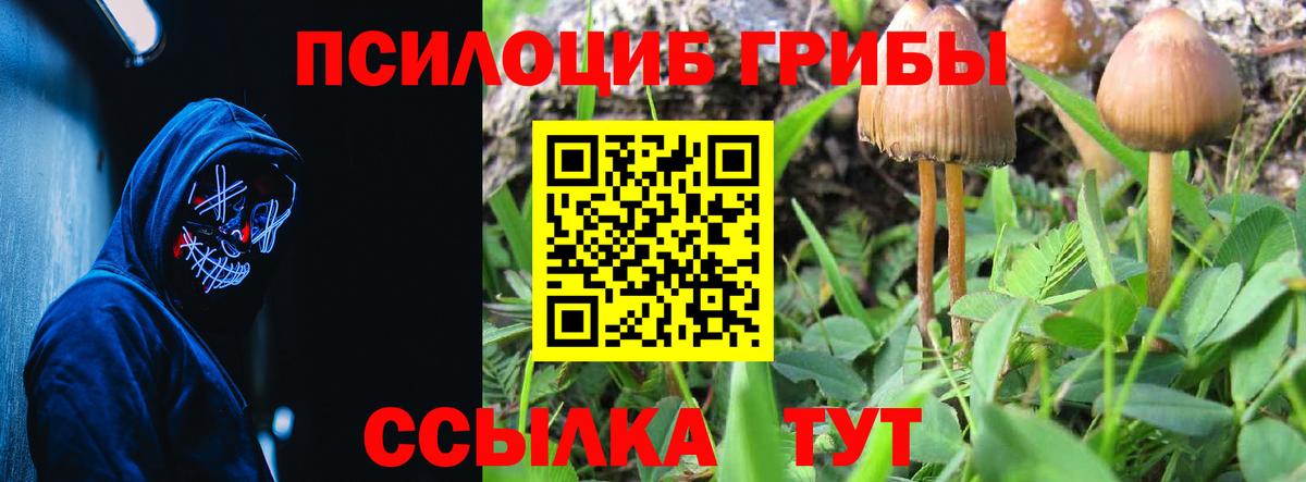Псилоцибиновые грибы GOLDEN TEACHER Рыбинск
