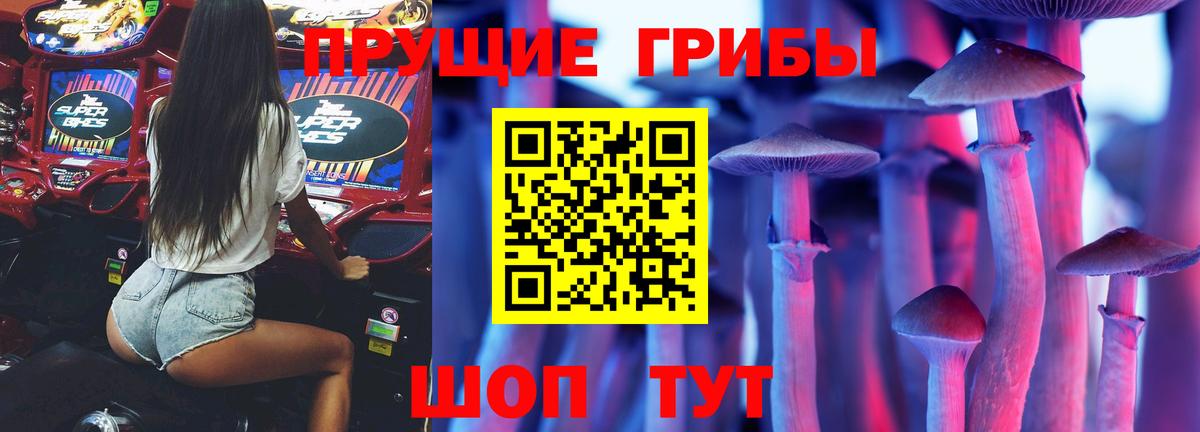 Галлюциногенные грибы MAGIC MUSHROOMS  Псилоцибиновые грибы ЛСД  Рыбинск  Вход с VPN 